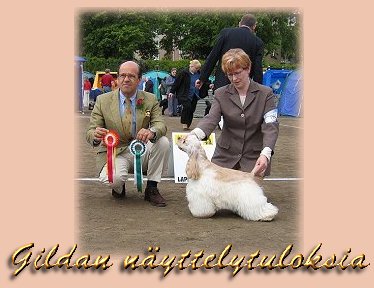 Gildan näyttelytuloksia