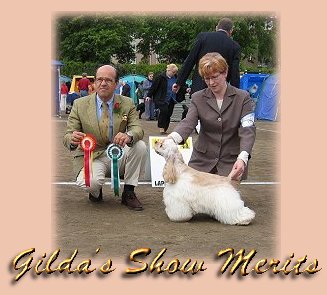 Gilda's Show Merits