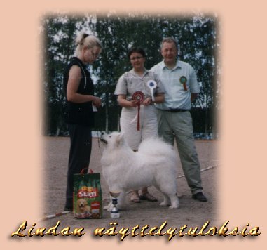 Lindan n�yttelytuloksia