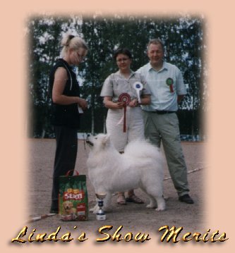 Linda's Show Merits